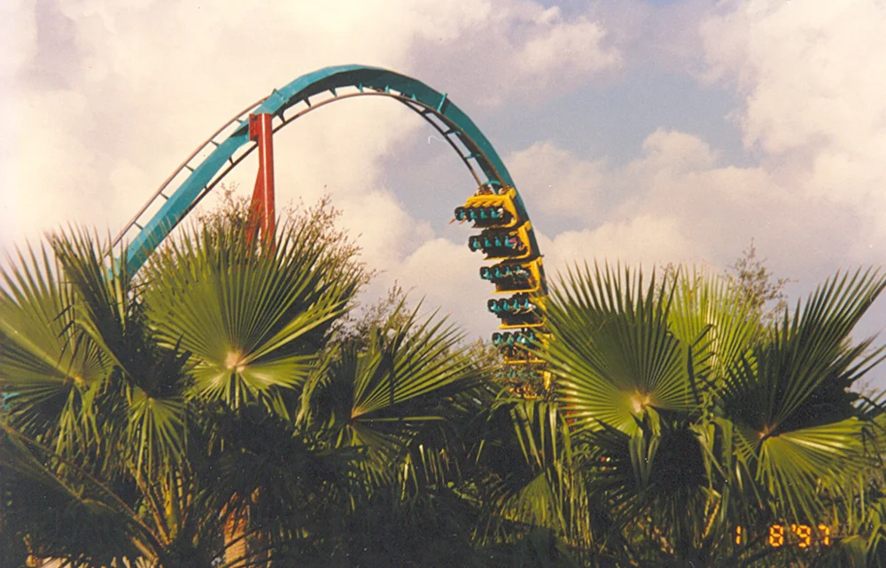 Eine Achterbahn in Busch Gardens Tampa Bay