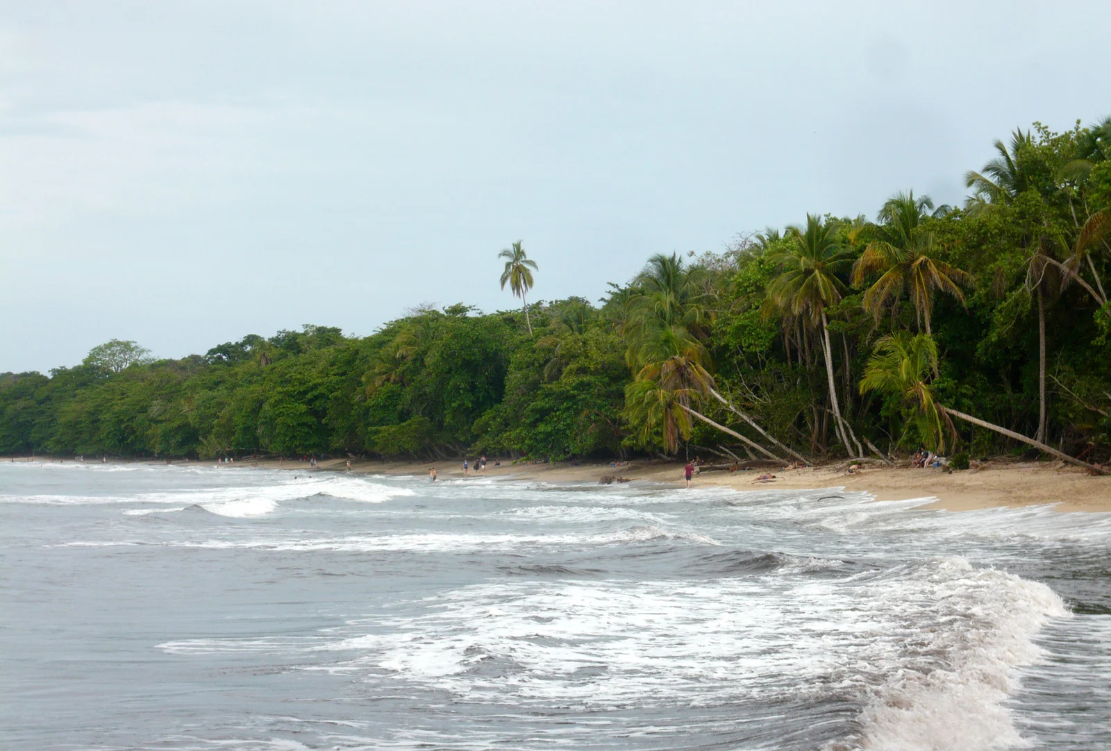 Der Strand des Nationalparks Cahuita mit Palmen und Brandung