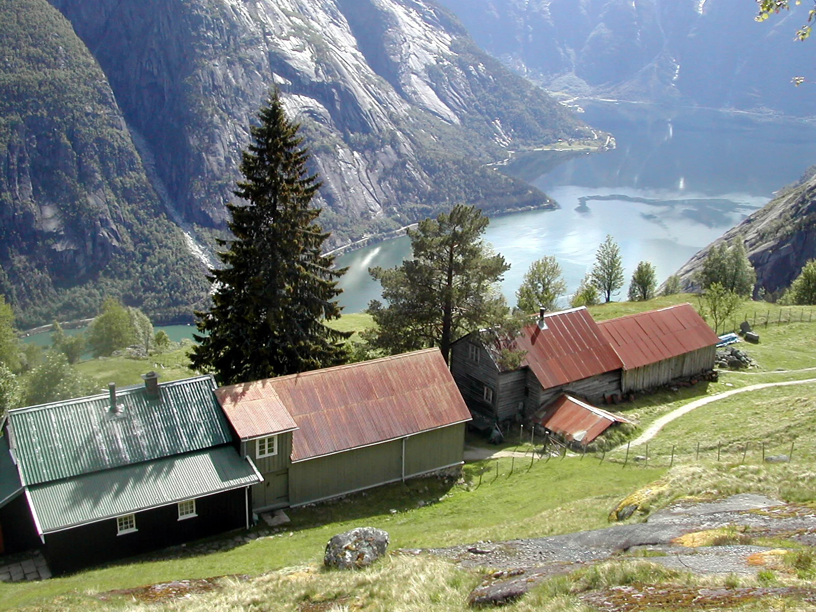 Der Berghof Kjeåsen hoch über dem Simadalsfjord bei Eidfjord, Norwegen, mit Holzhäusern und rostroten Blechdächern auf einer Grasterrasse.