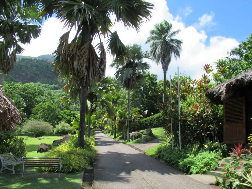 Der Botanische Garten von Victoria auf Mahé
