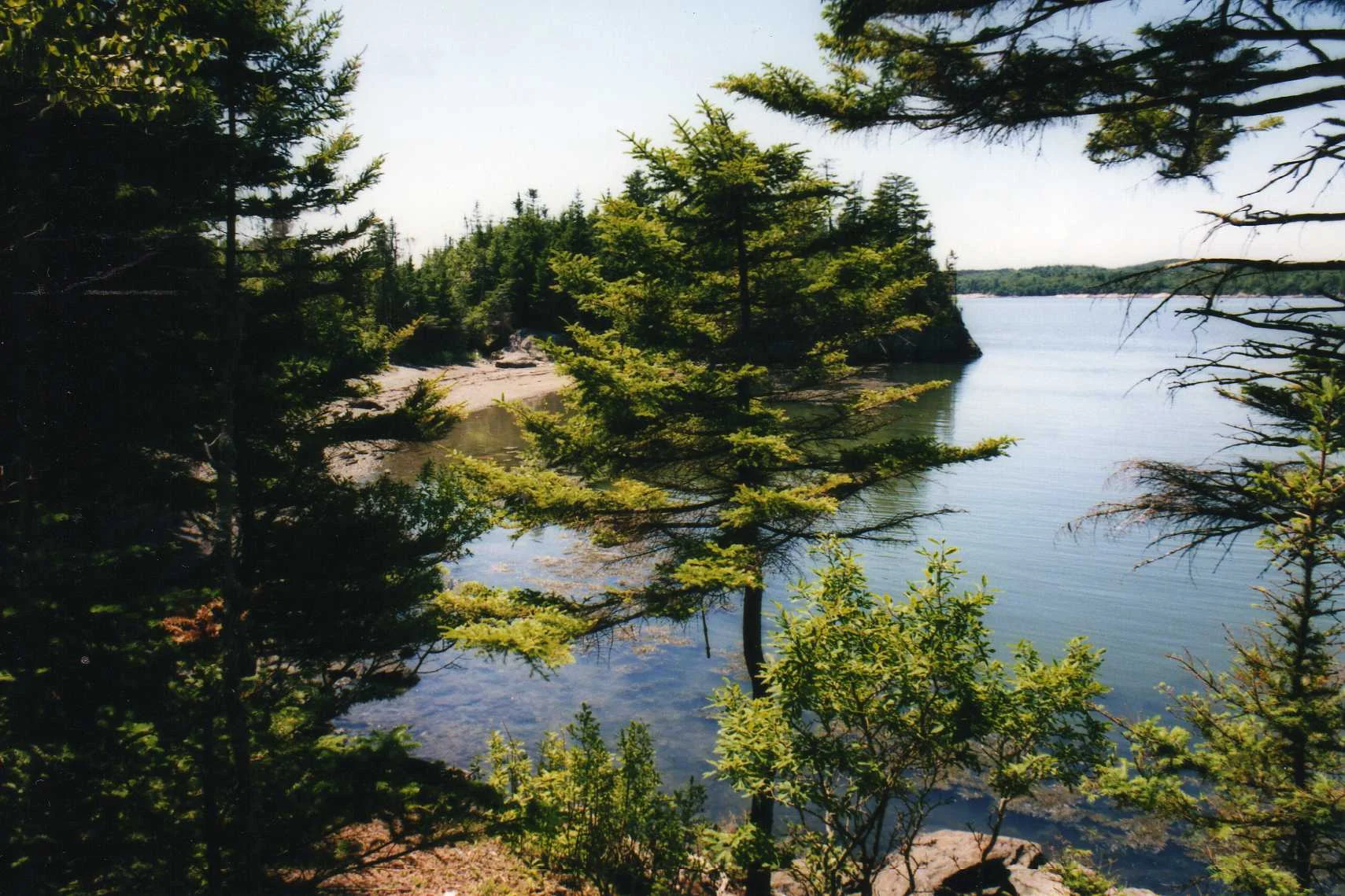 Wald und Wasser im Irving Nature Park bei Saint John