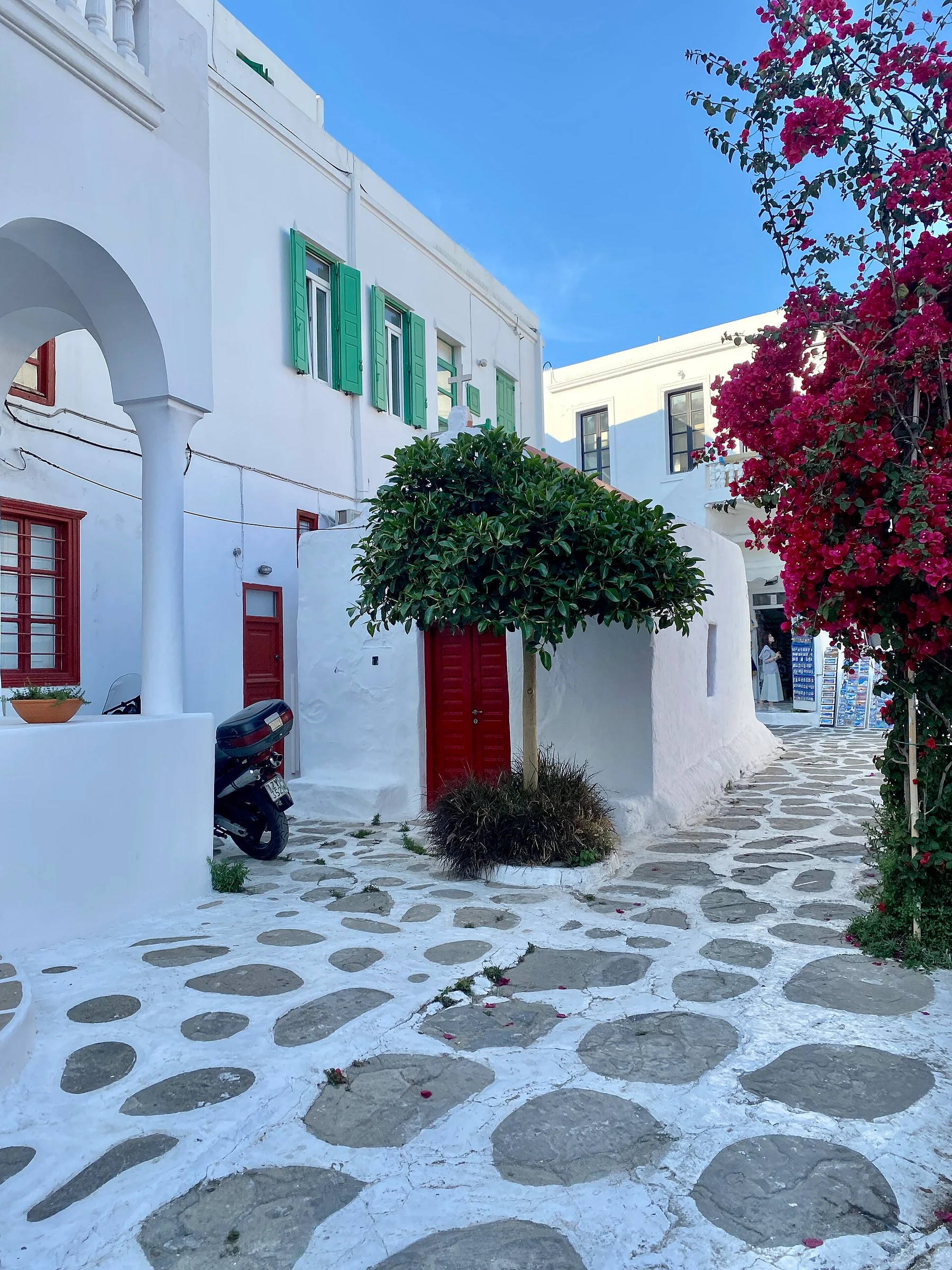 Gasse in der Chora von Mykonos mit weißen Häusern und blühender Bougainvillea