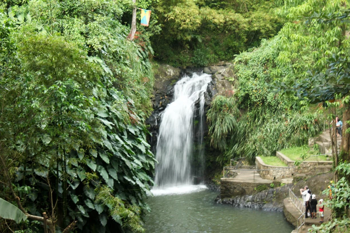 Die Annandale Falls im Landesinneren von Grenada