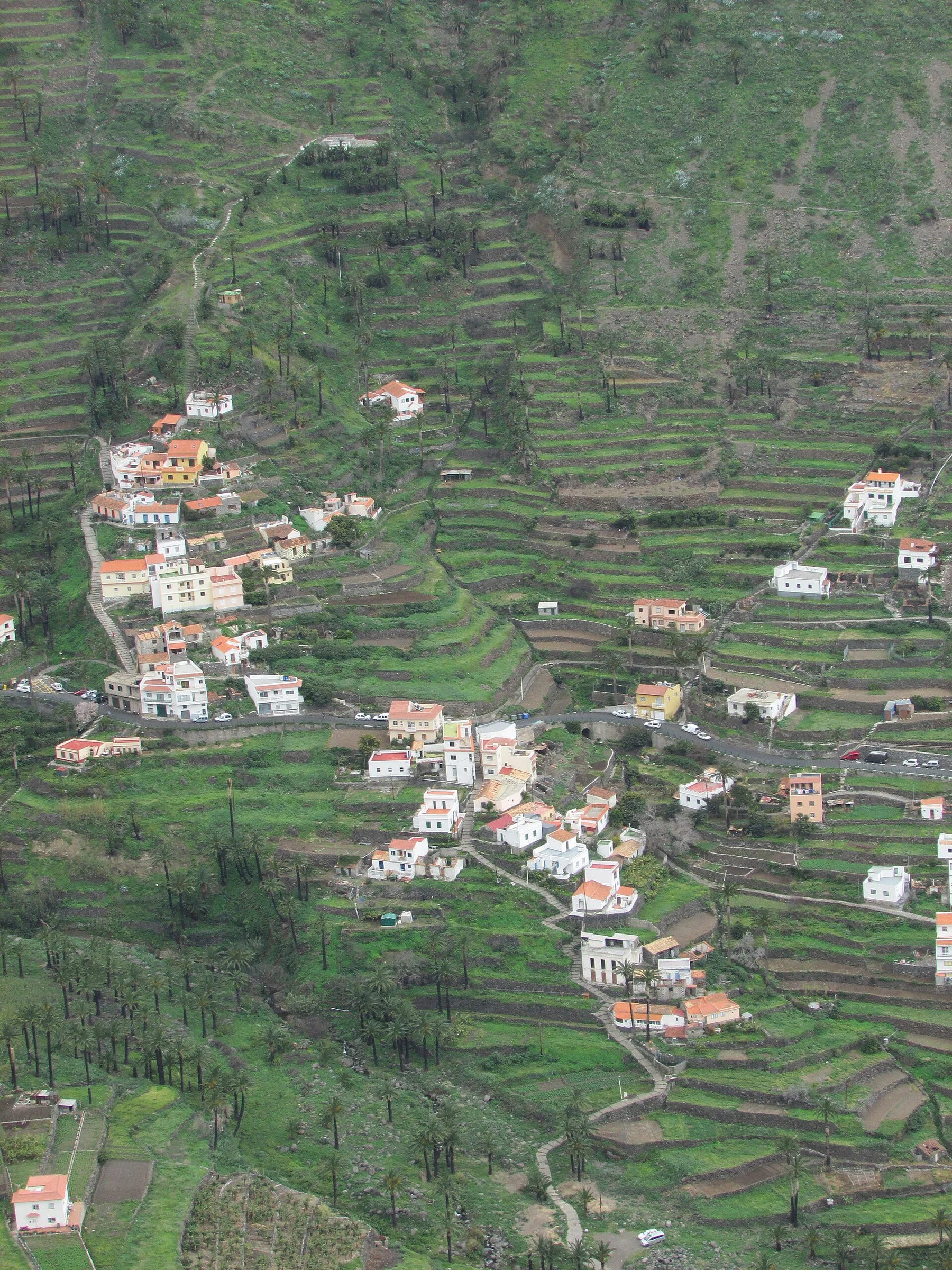 Die Terrassenfelder im Valle Gran Rey auf La Gomera