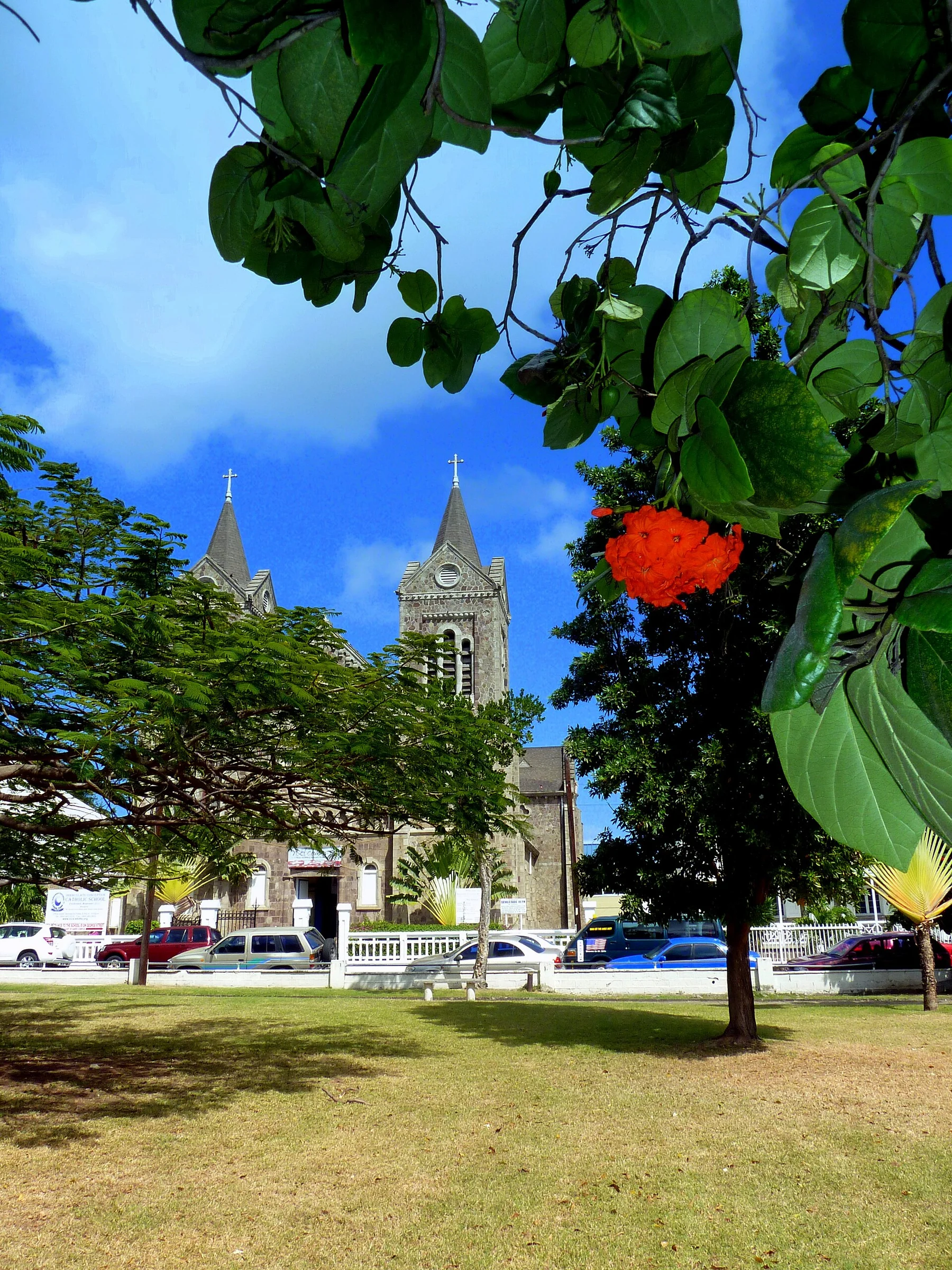 Die Kathedrale Immaculate Conception in Basseterre auf St. Kitts hinter blühenden Bäumen