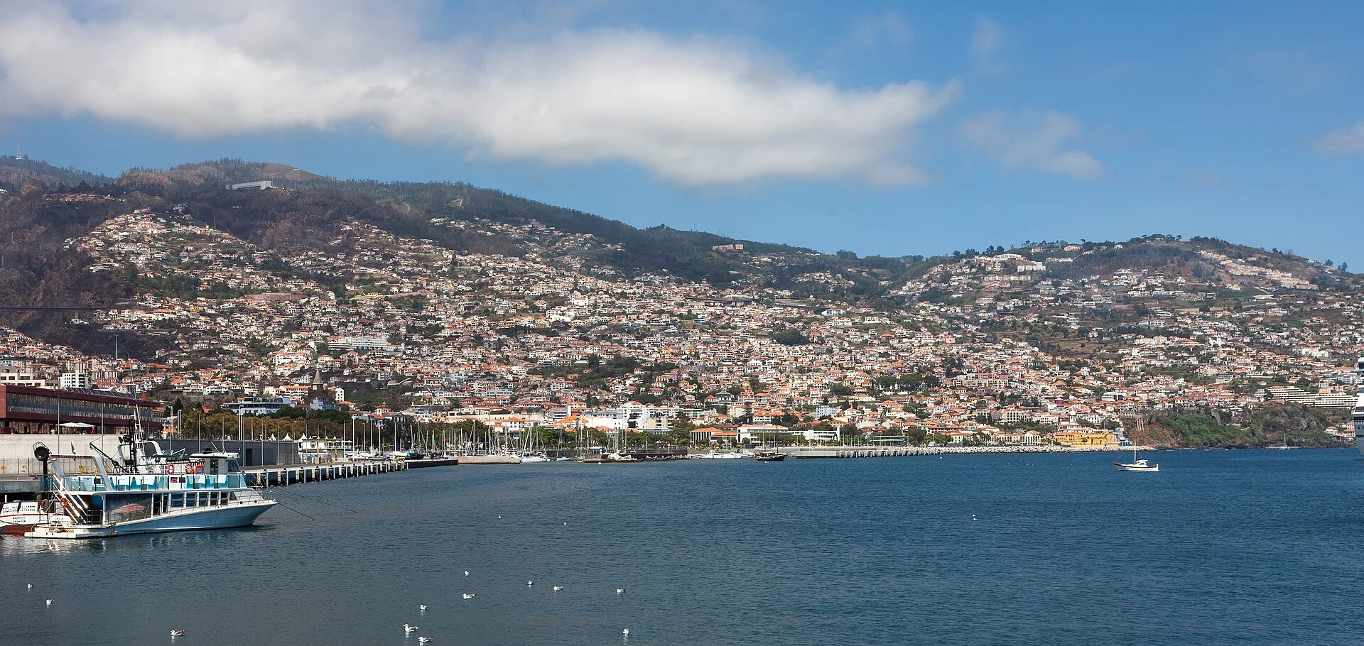 Funchal am Hang über der Bucht, mit Hafen und Stadt