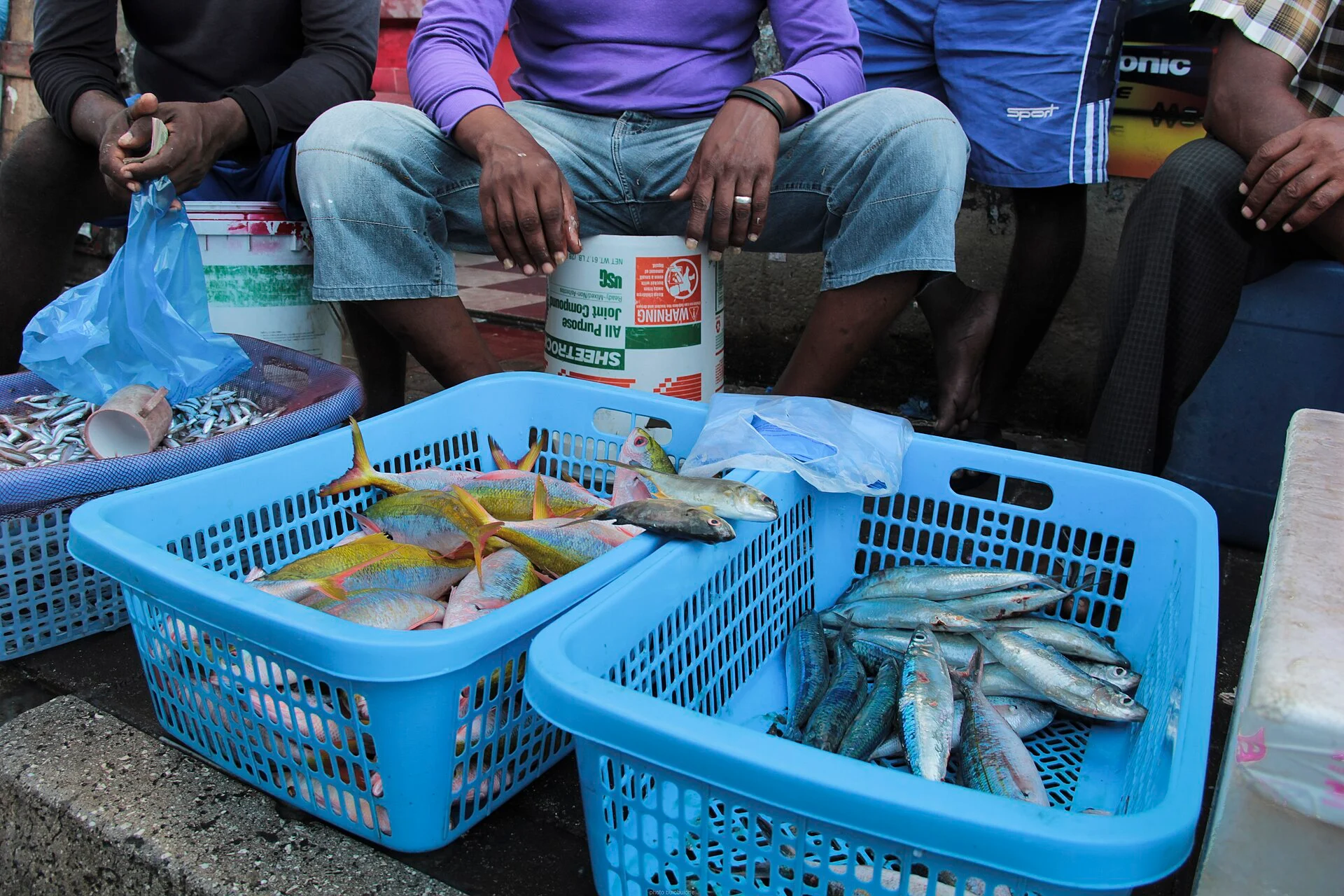 Fischkisten auf dem Markt von Malé