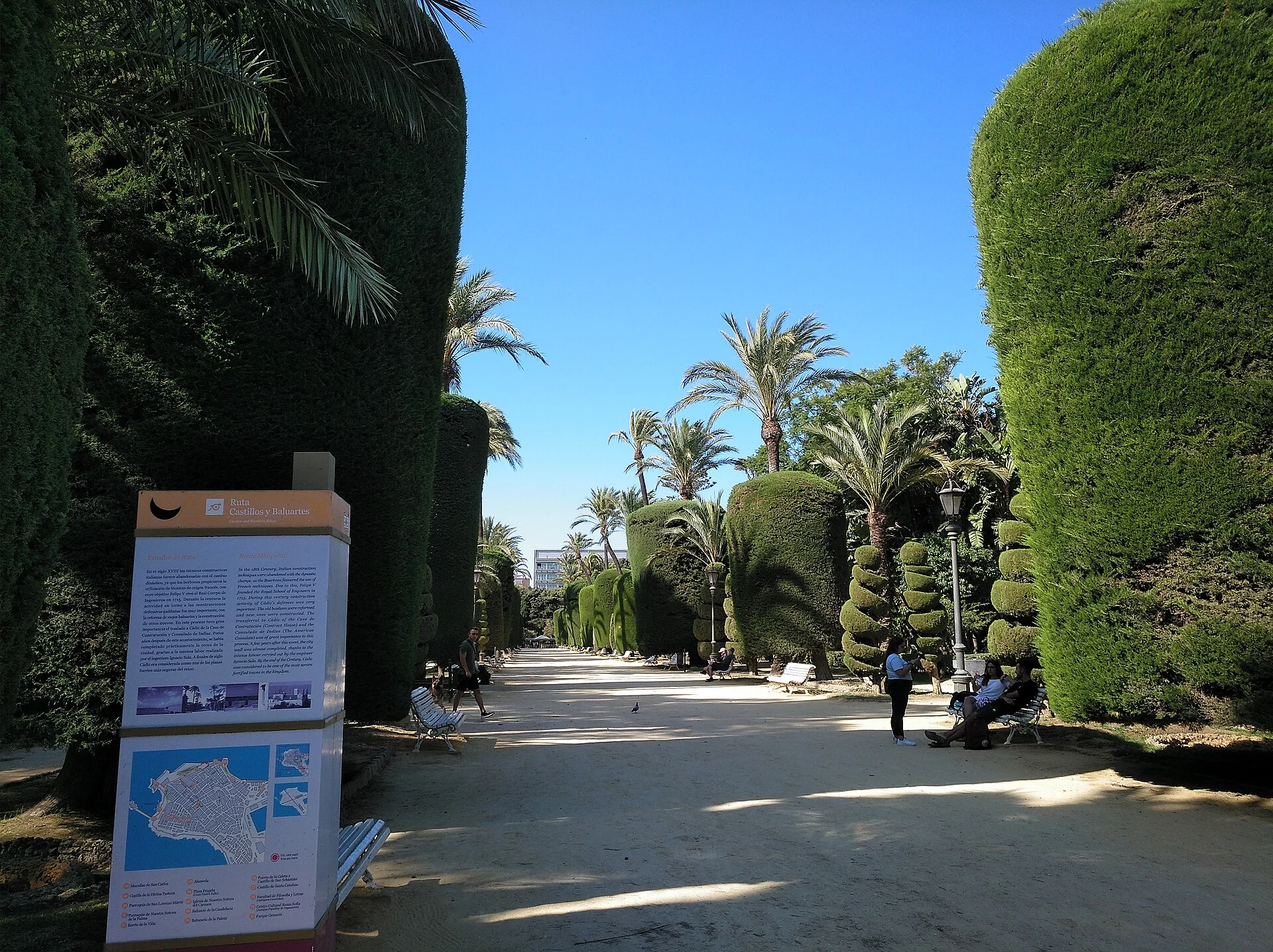 Die geschnittenen Zypressen im Parque Genovés in Cádiz