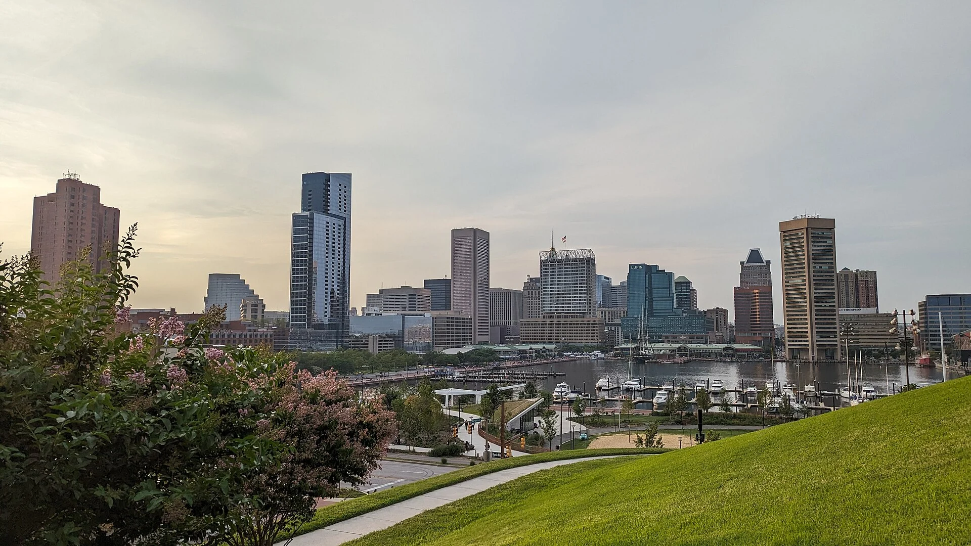 Die Skyline von Baltimore am Inner Harbor, gesehen vom Federal Hill