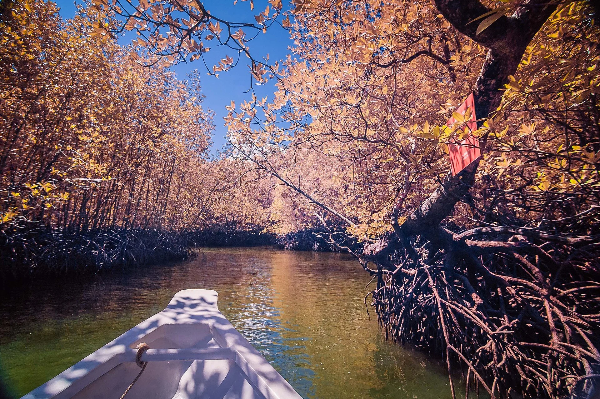 Ein Mangrovenkanal im Kilim-Geopark auf Langkawi