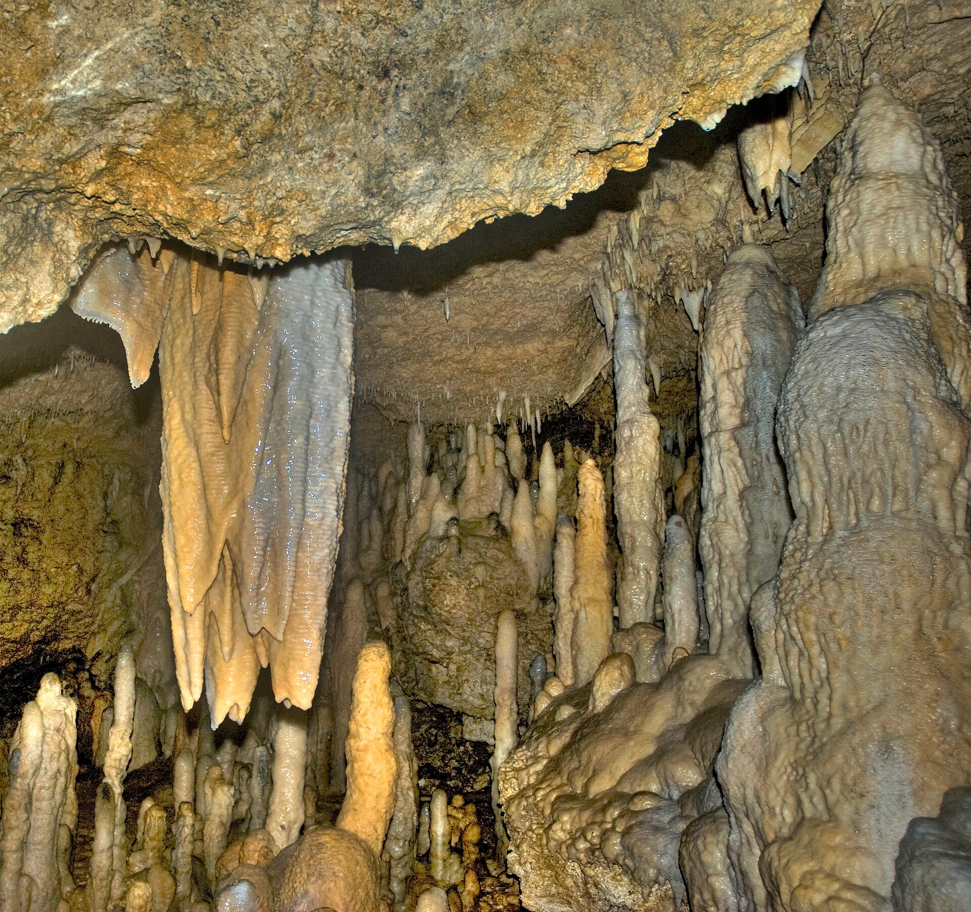 Tropfsteine in Harrison’s Cave im Inneren von Barbados