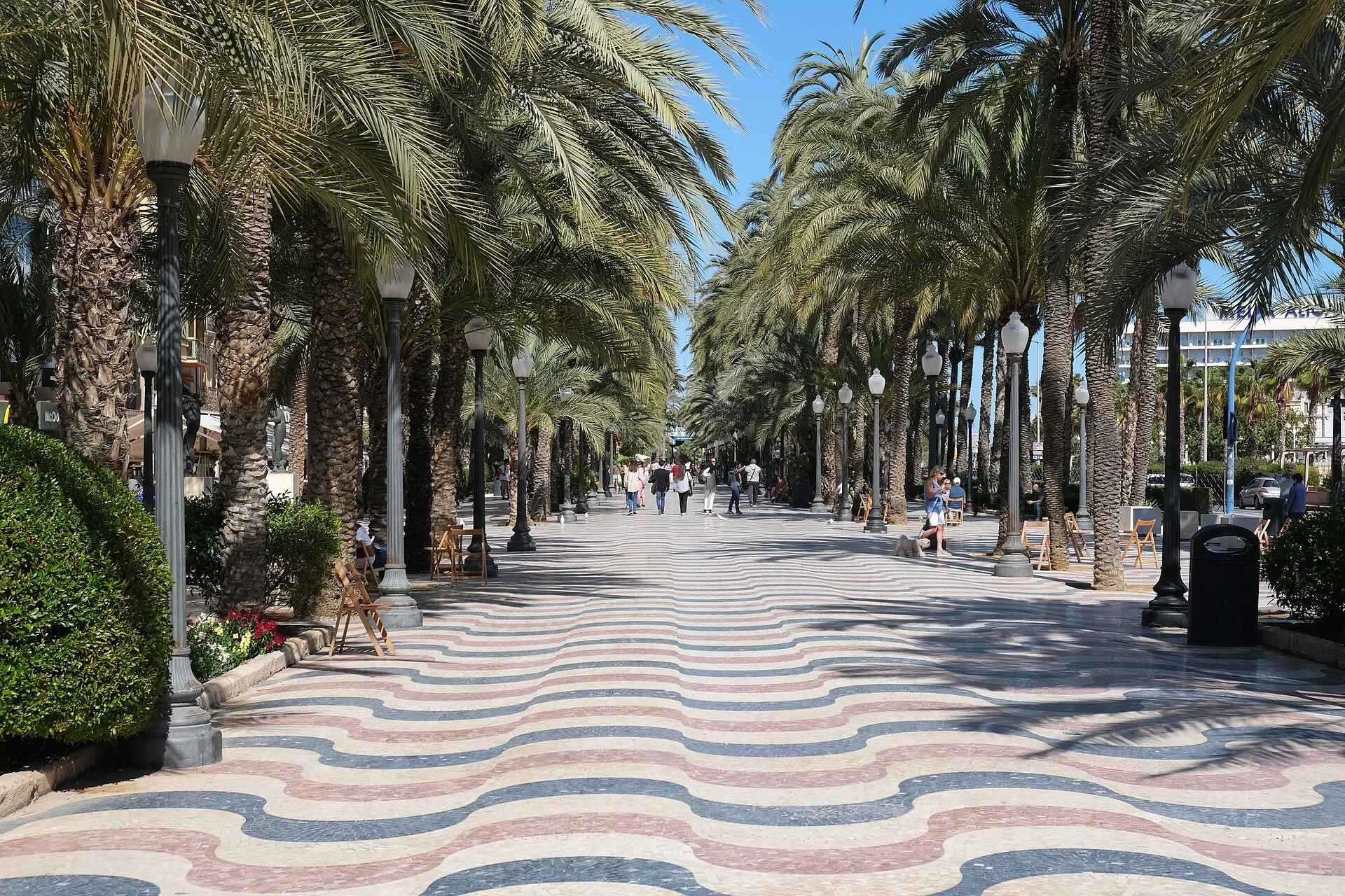 Das Marmorpflaster der Explanada de España mit Palmenreihen