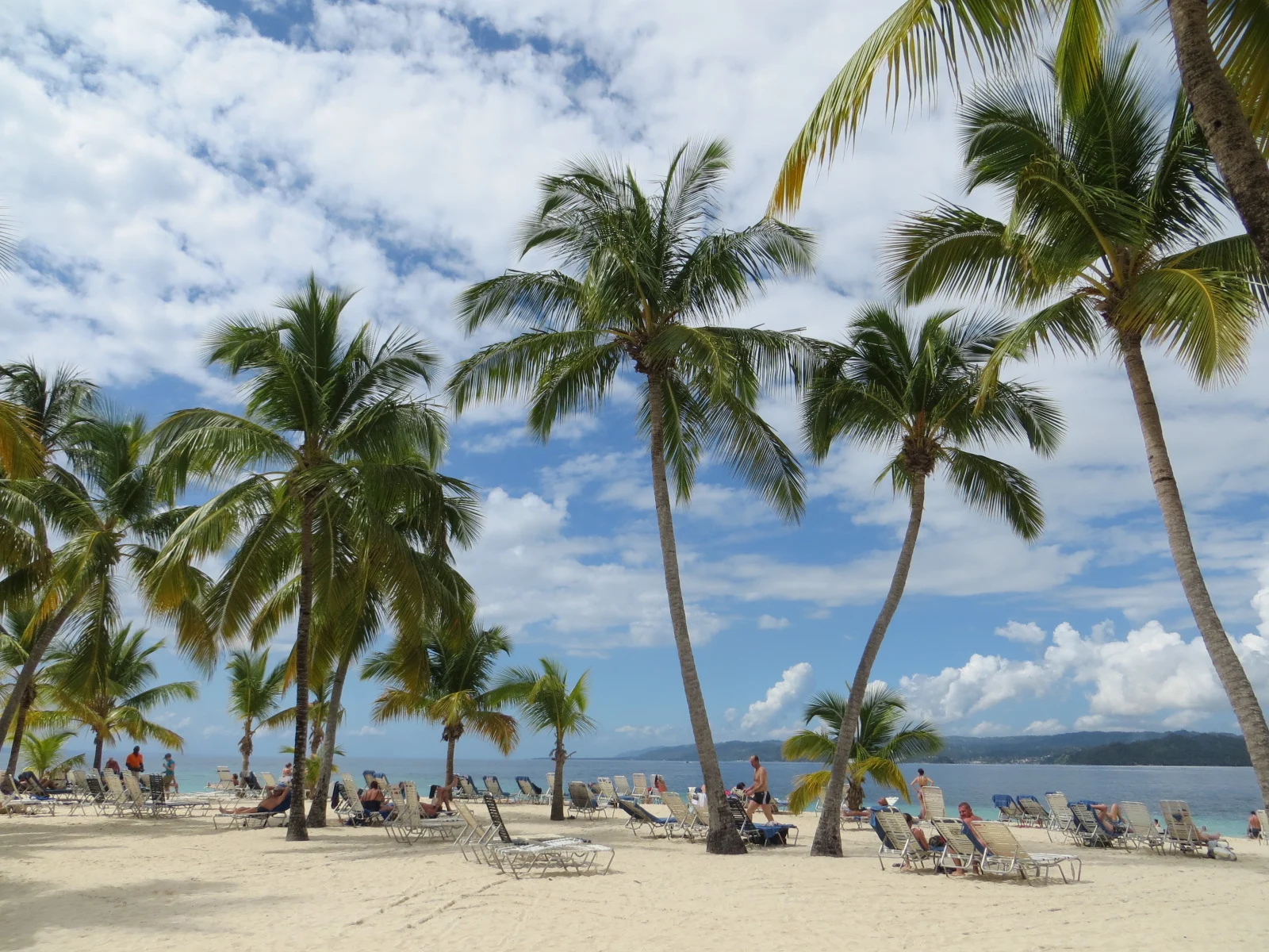Der Strand von Cayo Levantado mit Palmen und Liegen