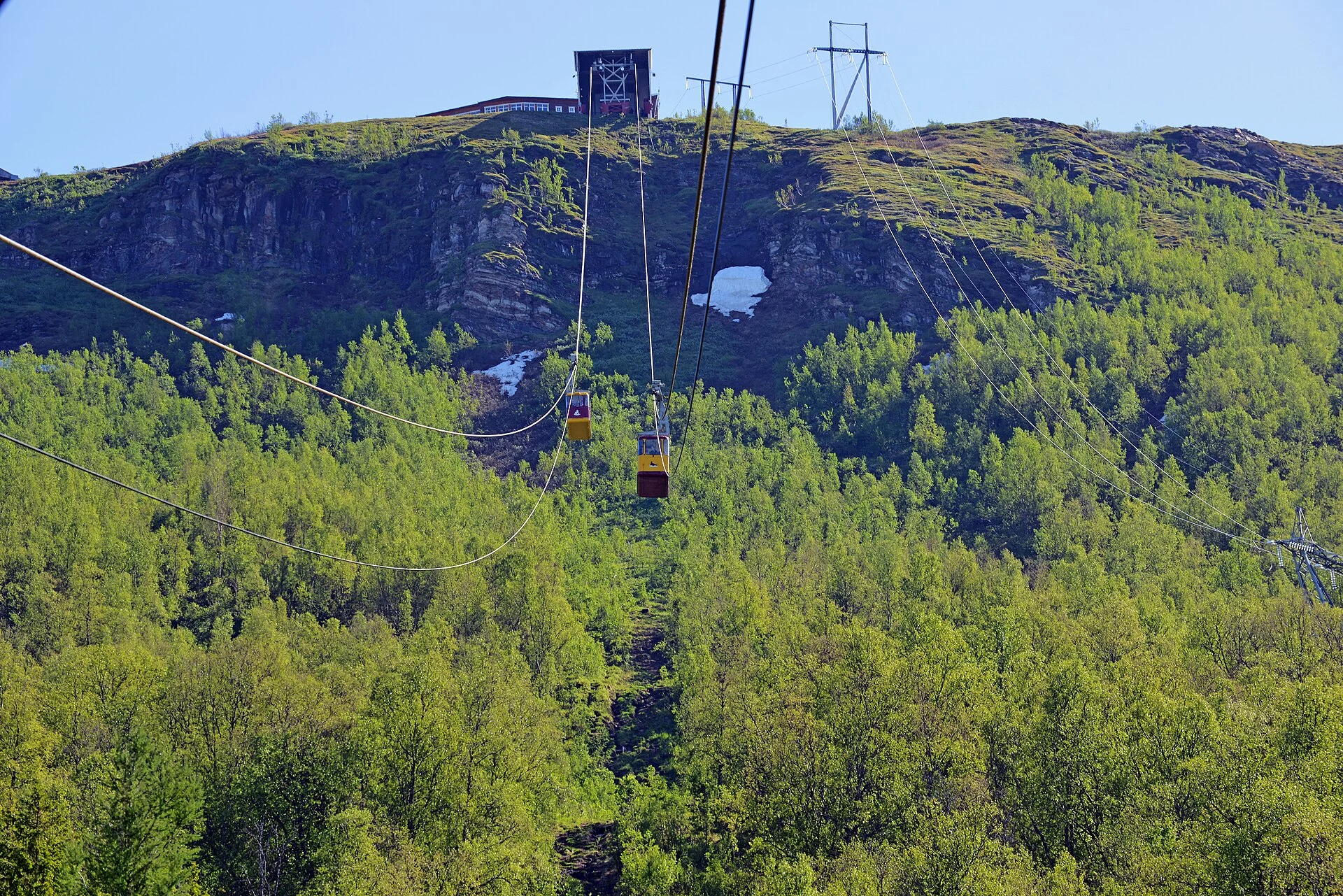 Die beiden Kabinen der Seilbahn Fjellheisen fahren über den Birkenwald hinauf zur Bergstation Storsteinen bei Tromsø.
