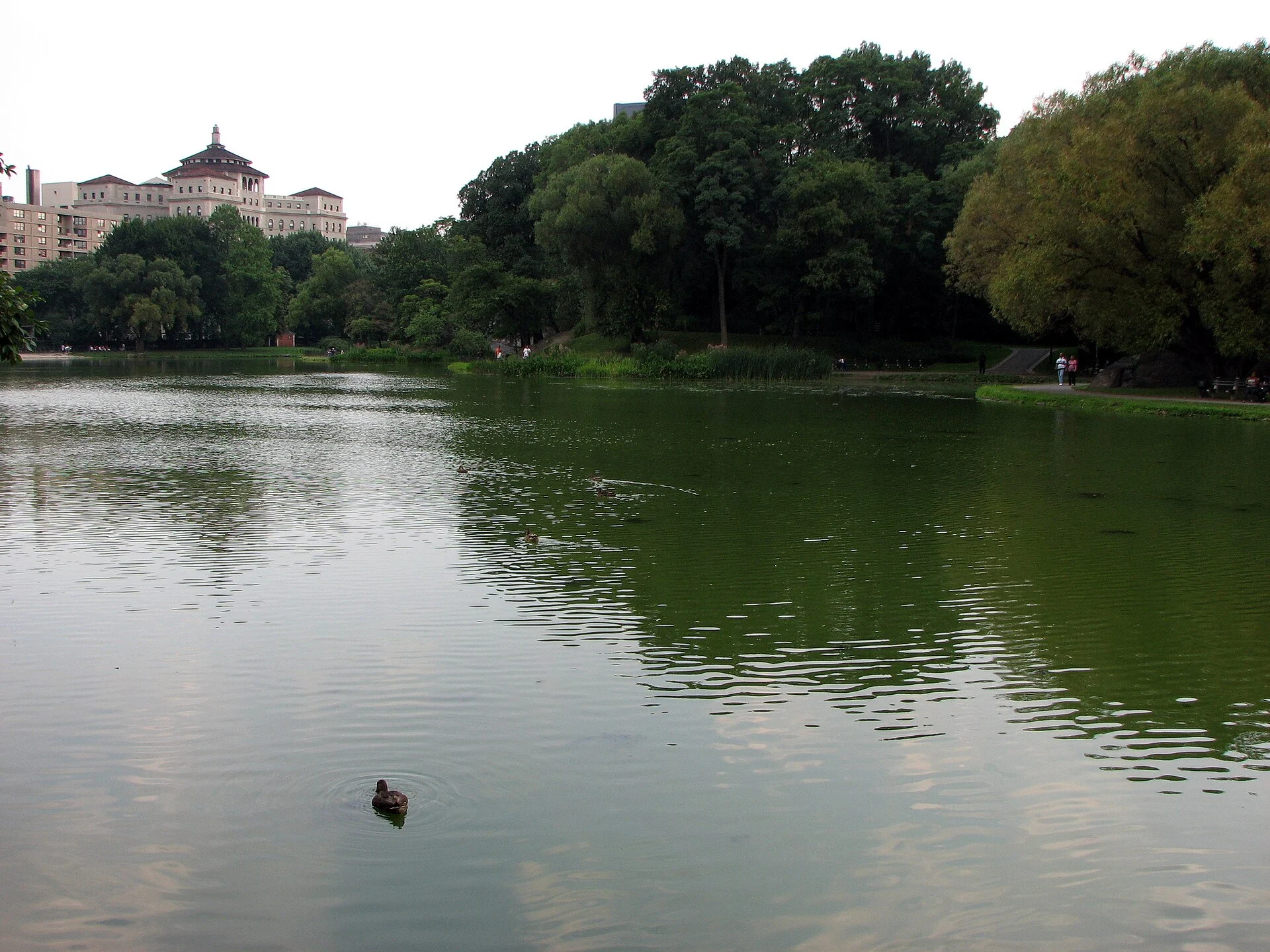 Teich im Central Park in New York, dahinter Bäume und Häuserzeilen