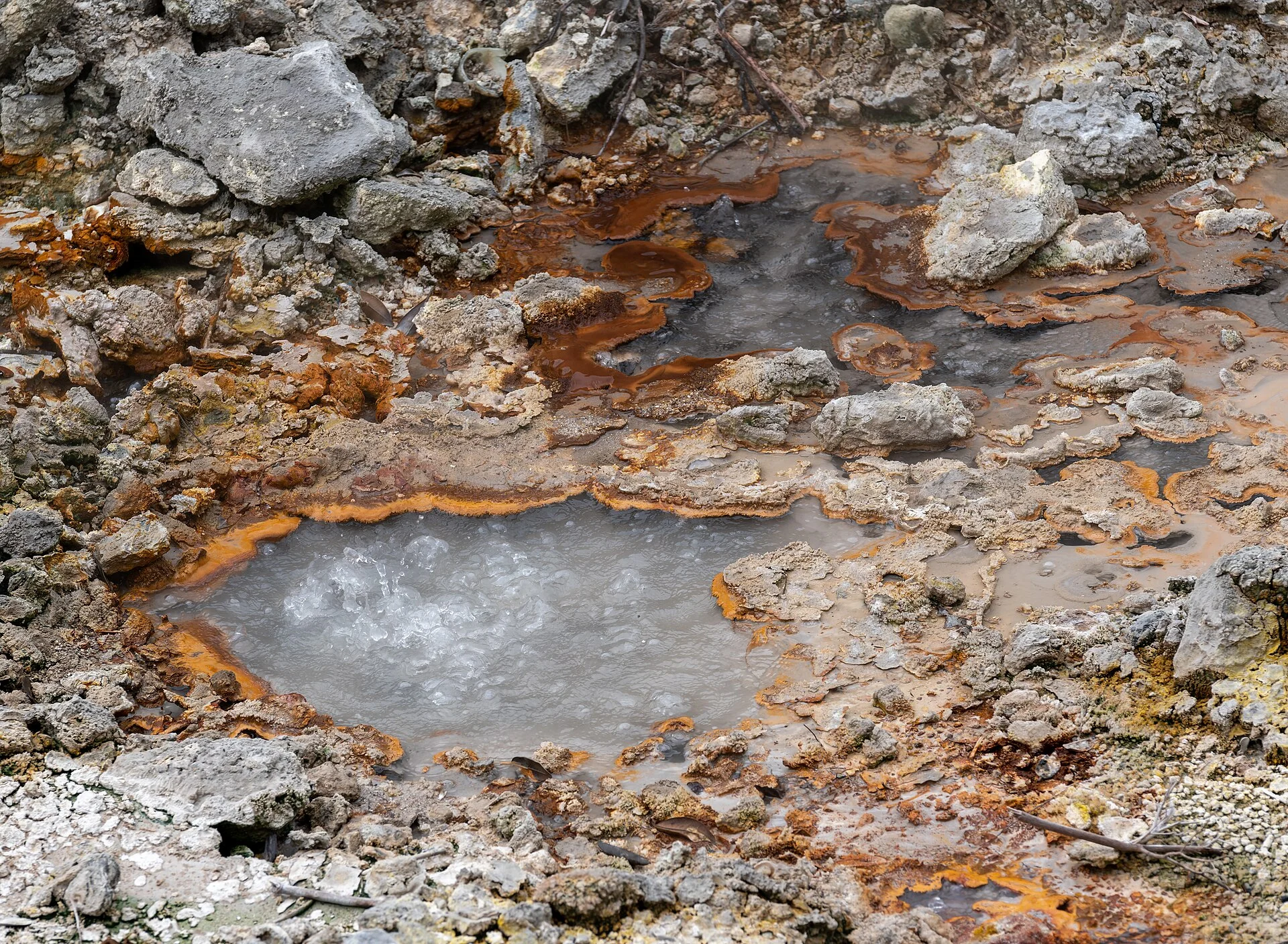 Eine brodelnde heiße Quelle in den Caldeiras von Furnas
