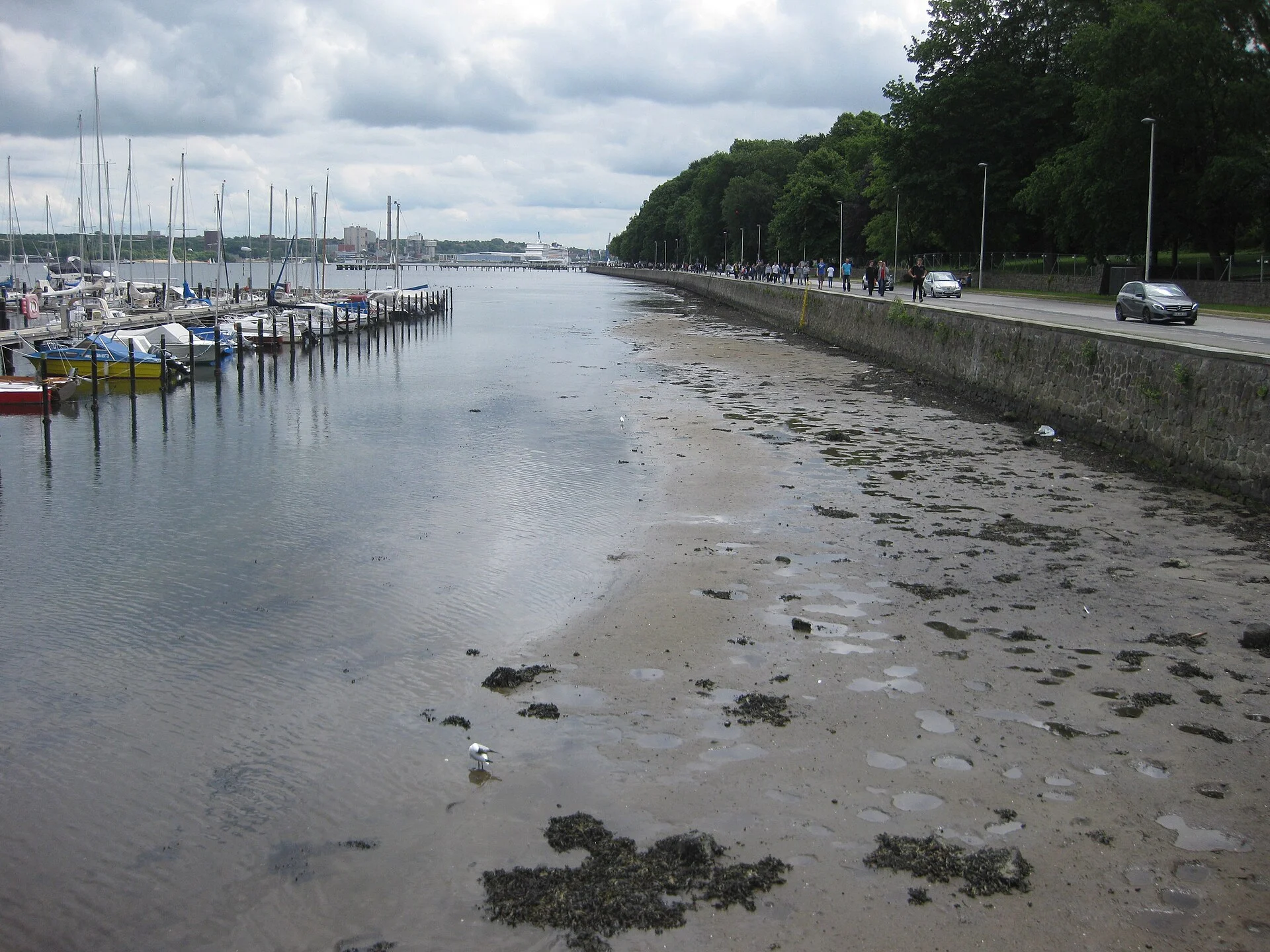 Die Uferpromenade Kiellinie (Hindenburgufer) in Kiel bei Niedrigwasser mit Sportboothafen und Blick auf die Förde.