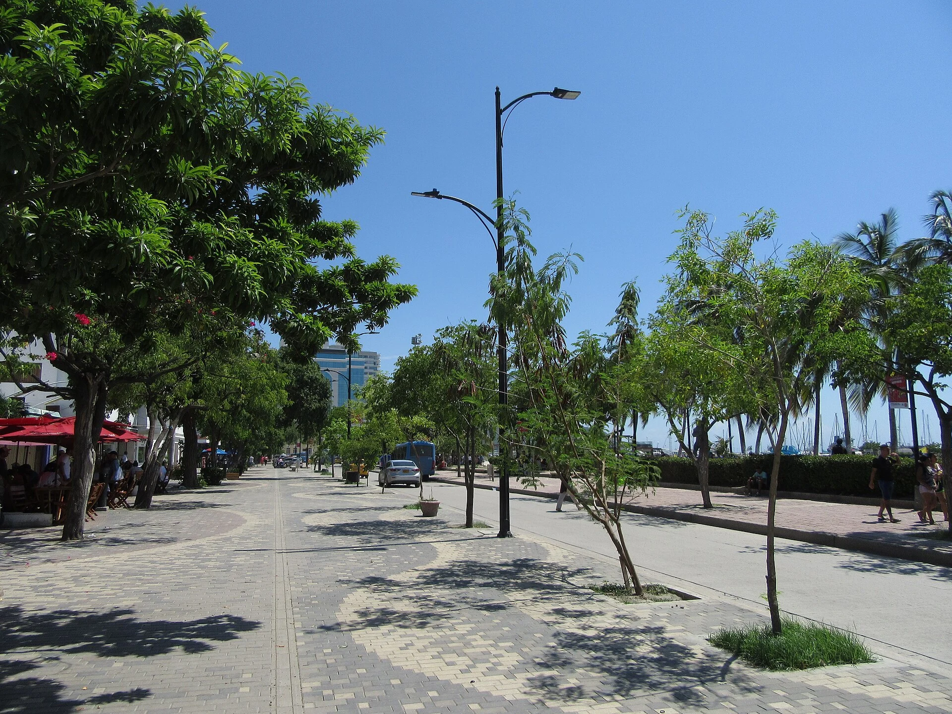 Der Malecón von Santa Marta mit Bäumen und Blick zum Meer