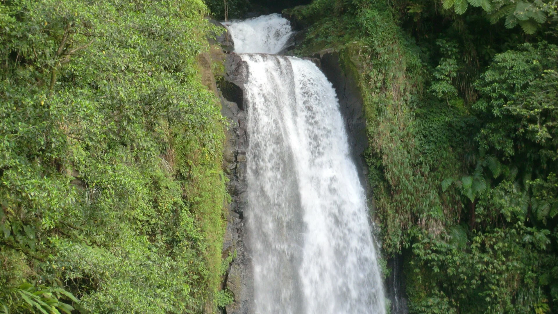 Die Trafalgar Falls auf Dominica, zwei Wasserfälle nebeneinander