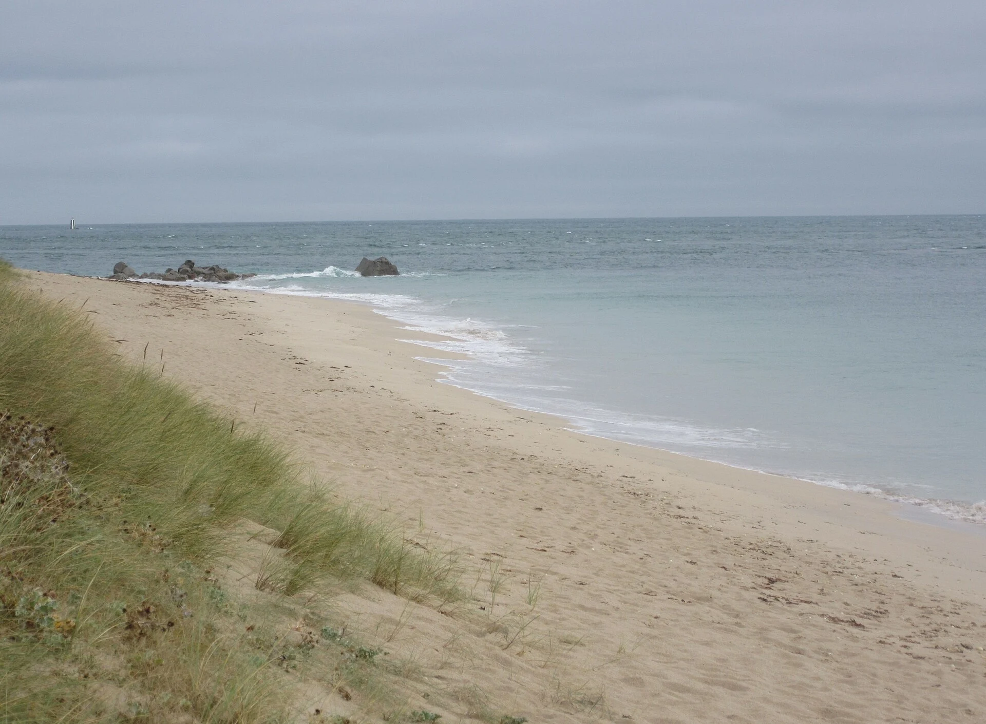 Der helle Muschelsand von Shell Beach auf Herm