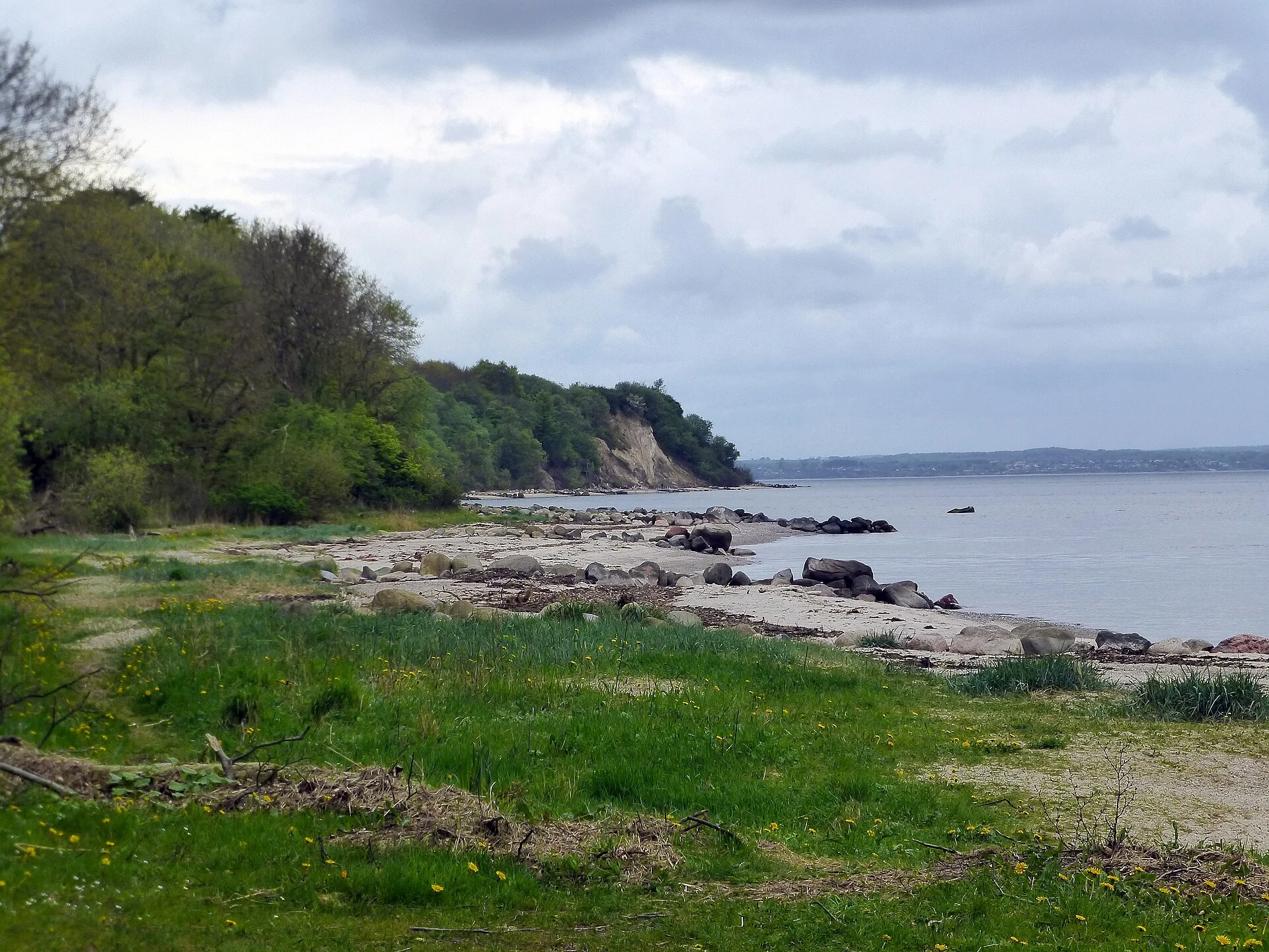 Die Steilküste von Trelde Næs am Kleinen Belt mit Wald und Strand