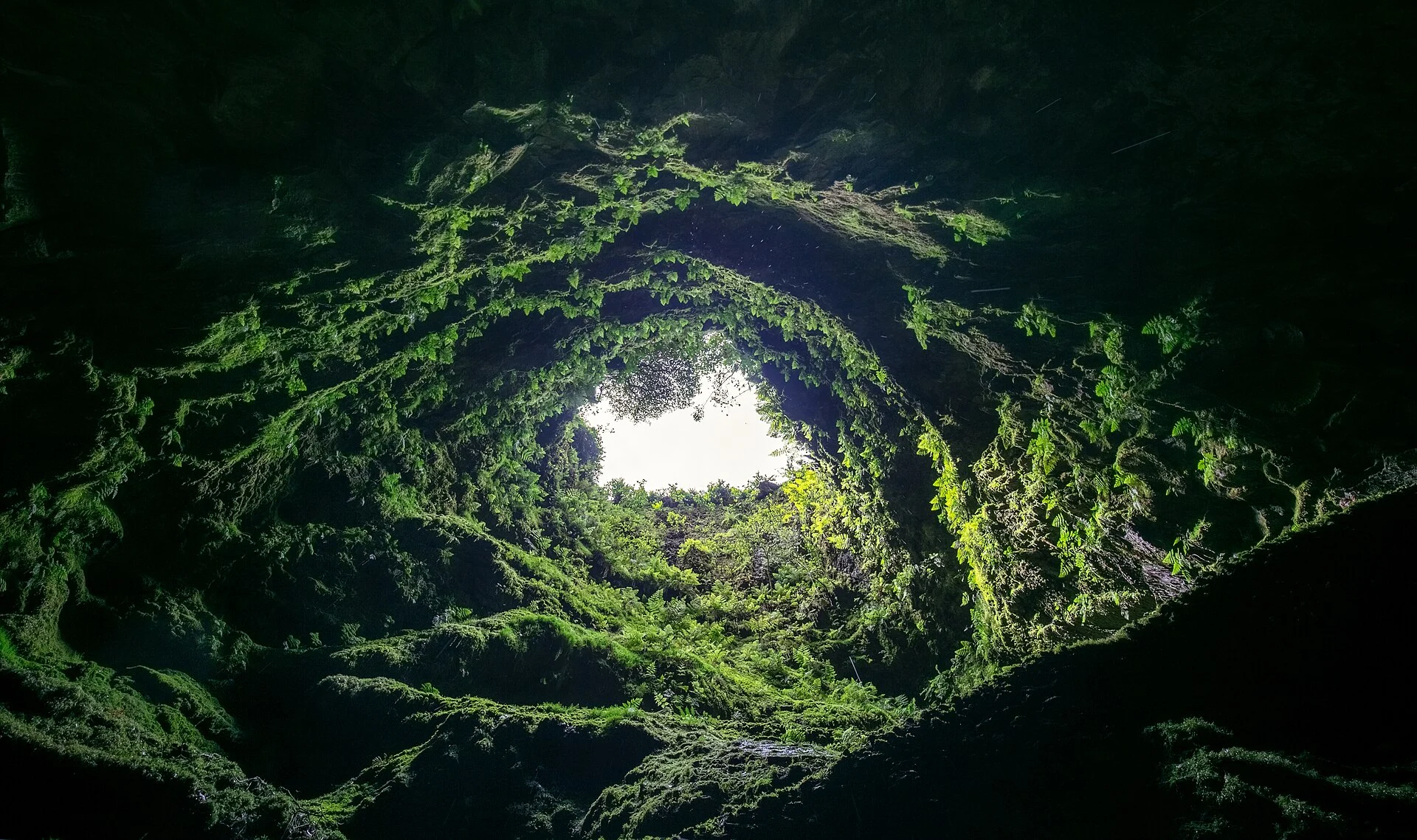Blick aus dem Vulkanschlot Algar do Carvão hinauf zur begrünten Öffnung
