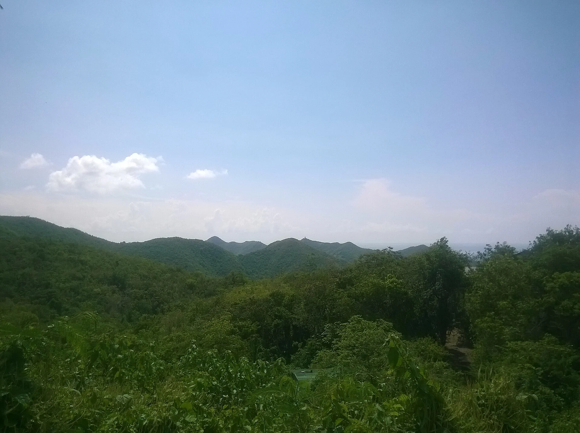 Die bewaldeten Hügel um den Pic Paradis auf St. Martin
