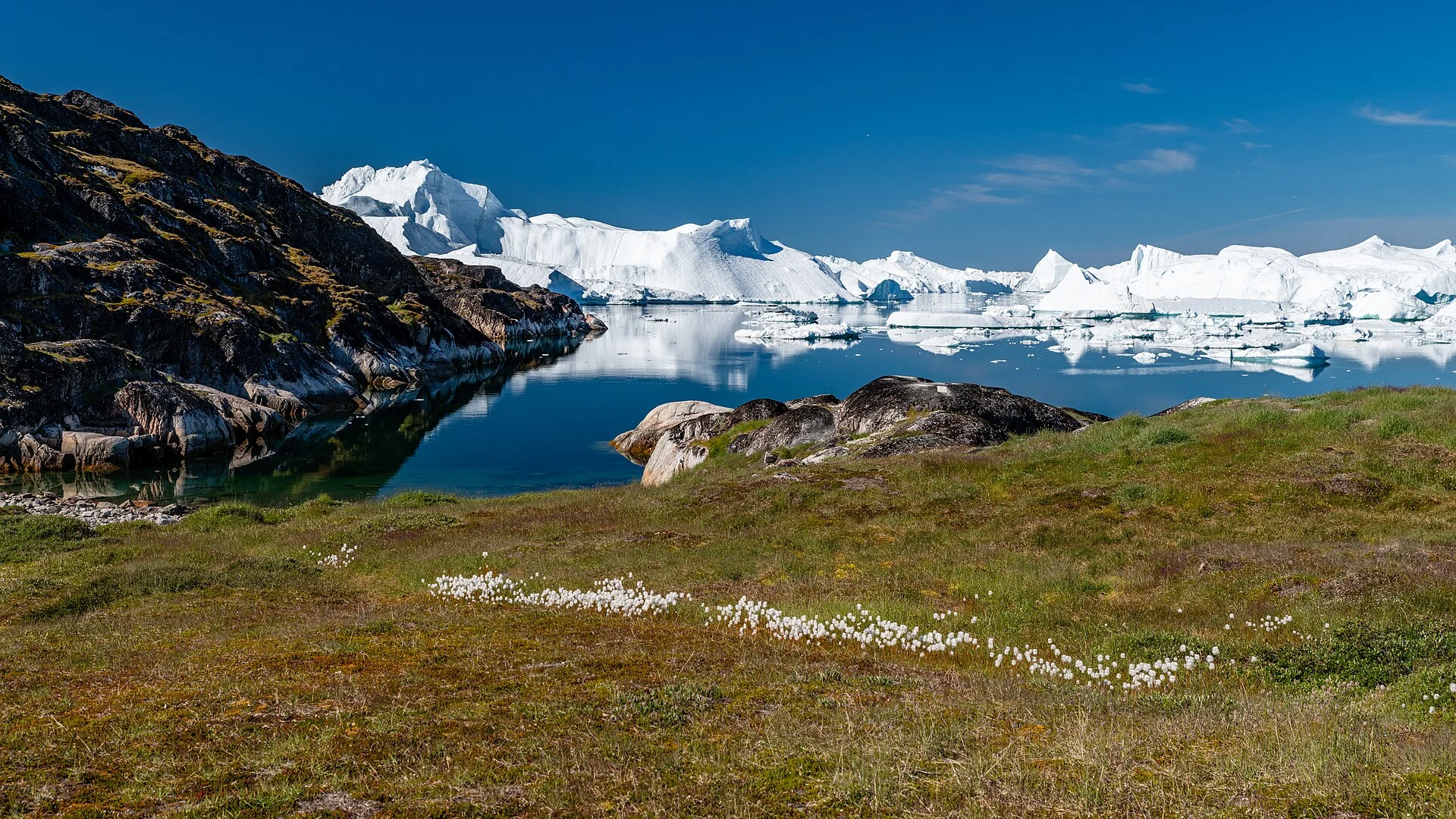 Die Tundra von Sermermiut an der Kante des Eisfjords
