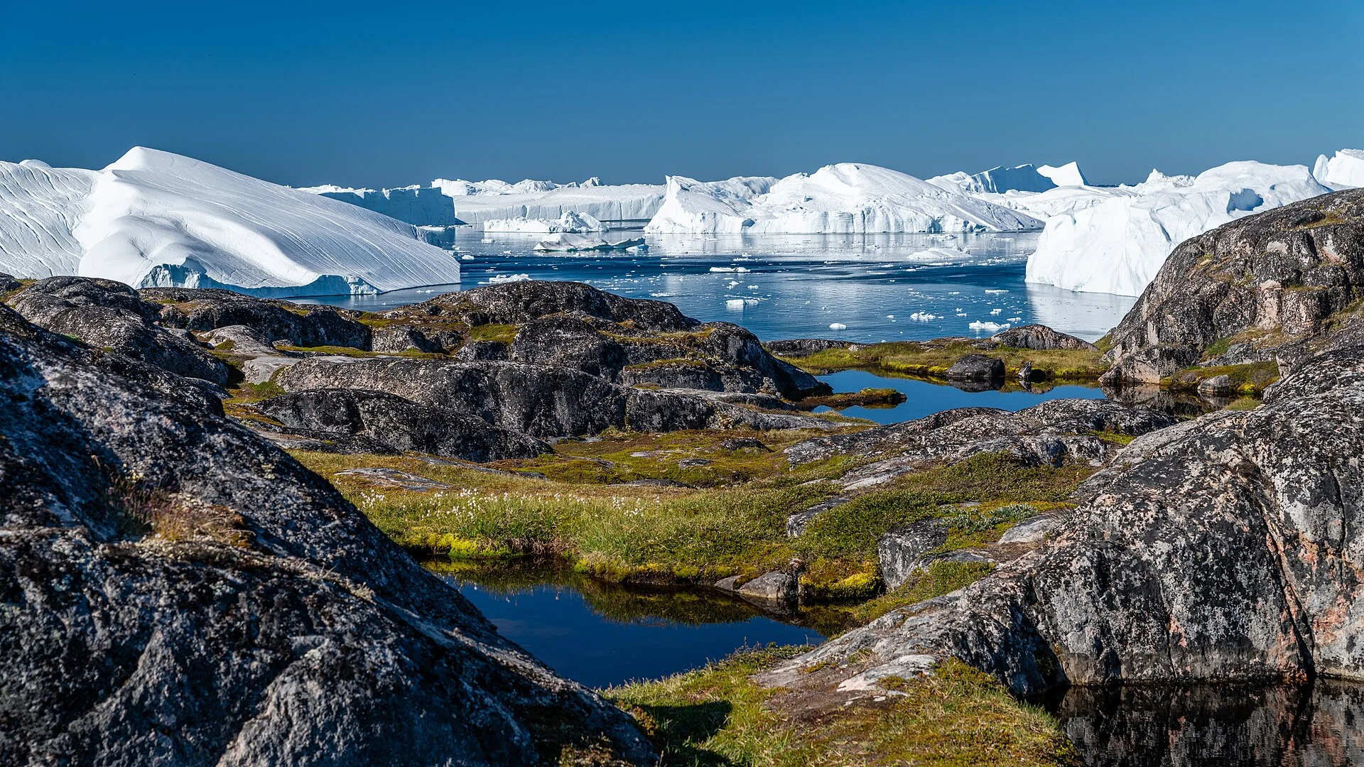 Eisberge im Ilulissat-Eisfjord, davor die Tundra