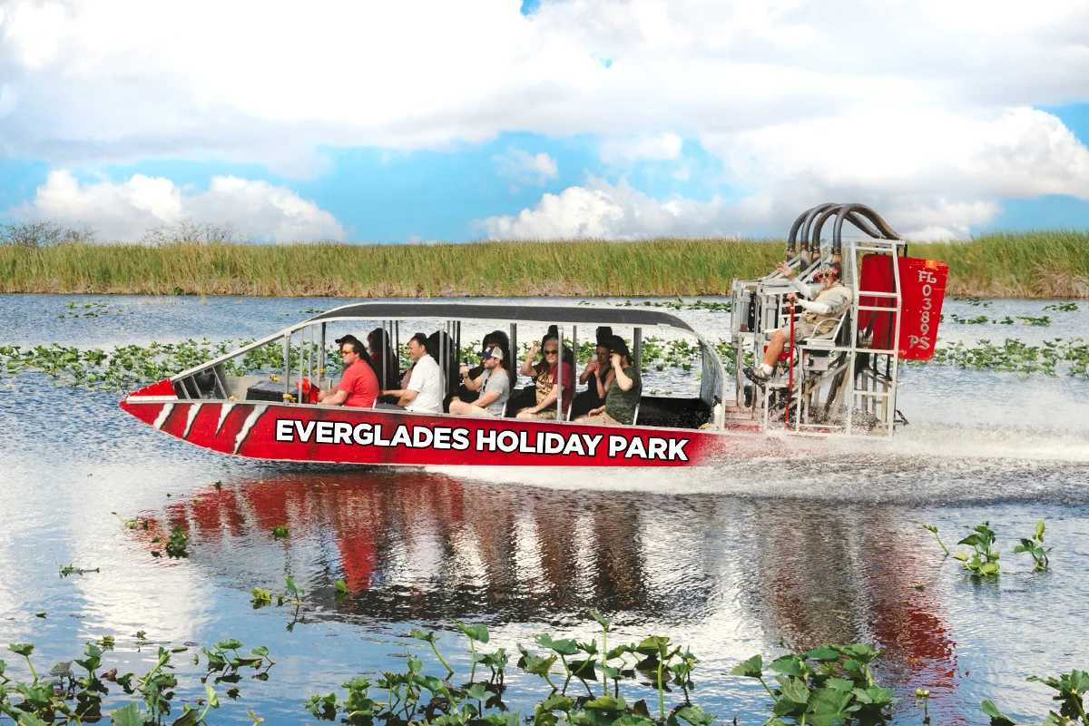 Ein Airboat mit Gästen im Sägegras der Everglades