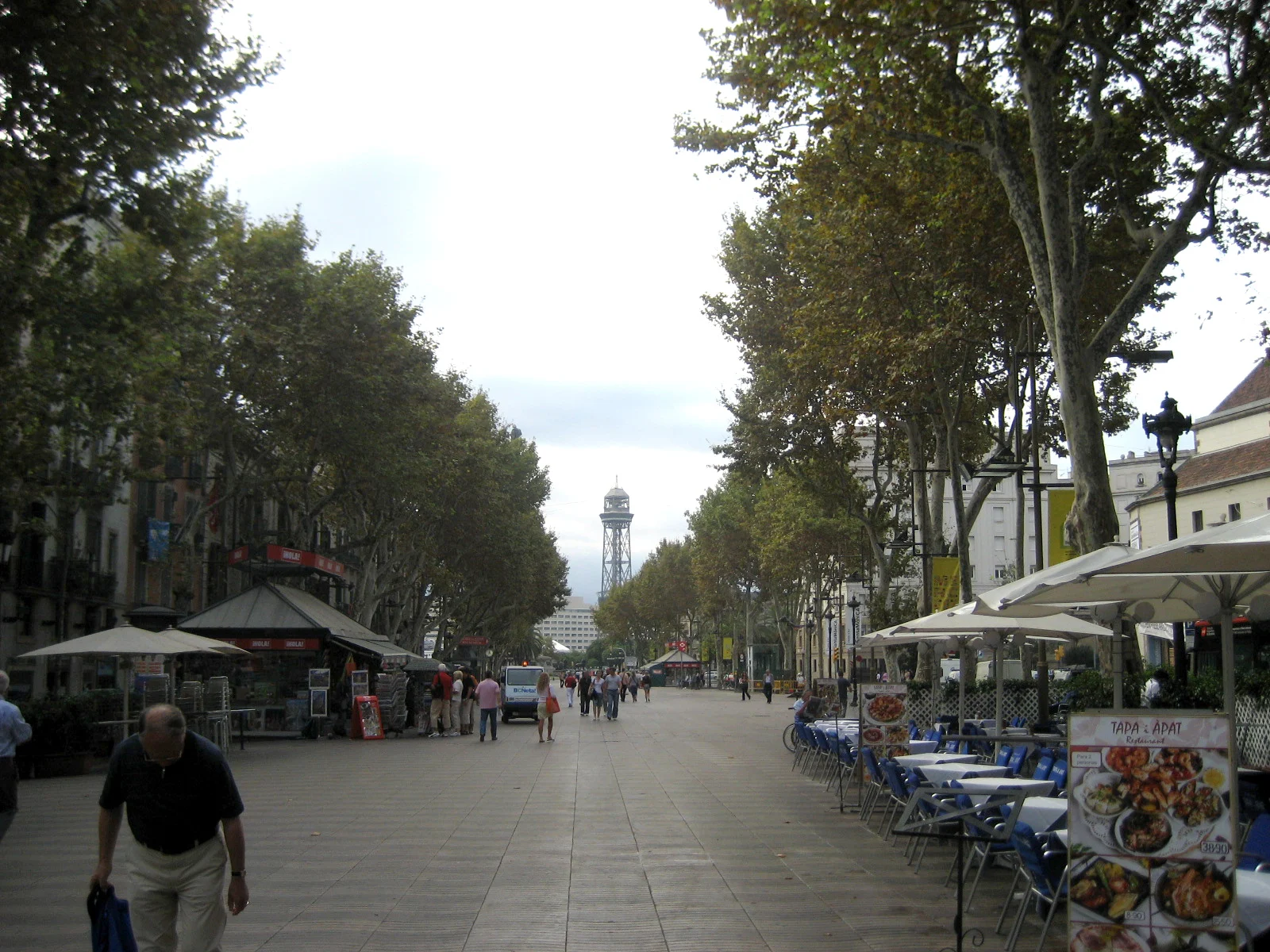 Blick über die von Platanen gesäumte Flaniermeile La Rambla in Barcelona zum Hafenturm Torre de Jaume I.