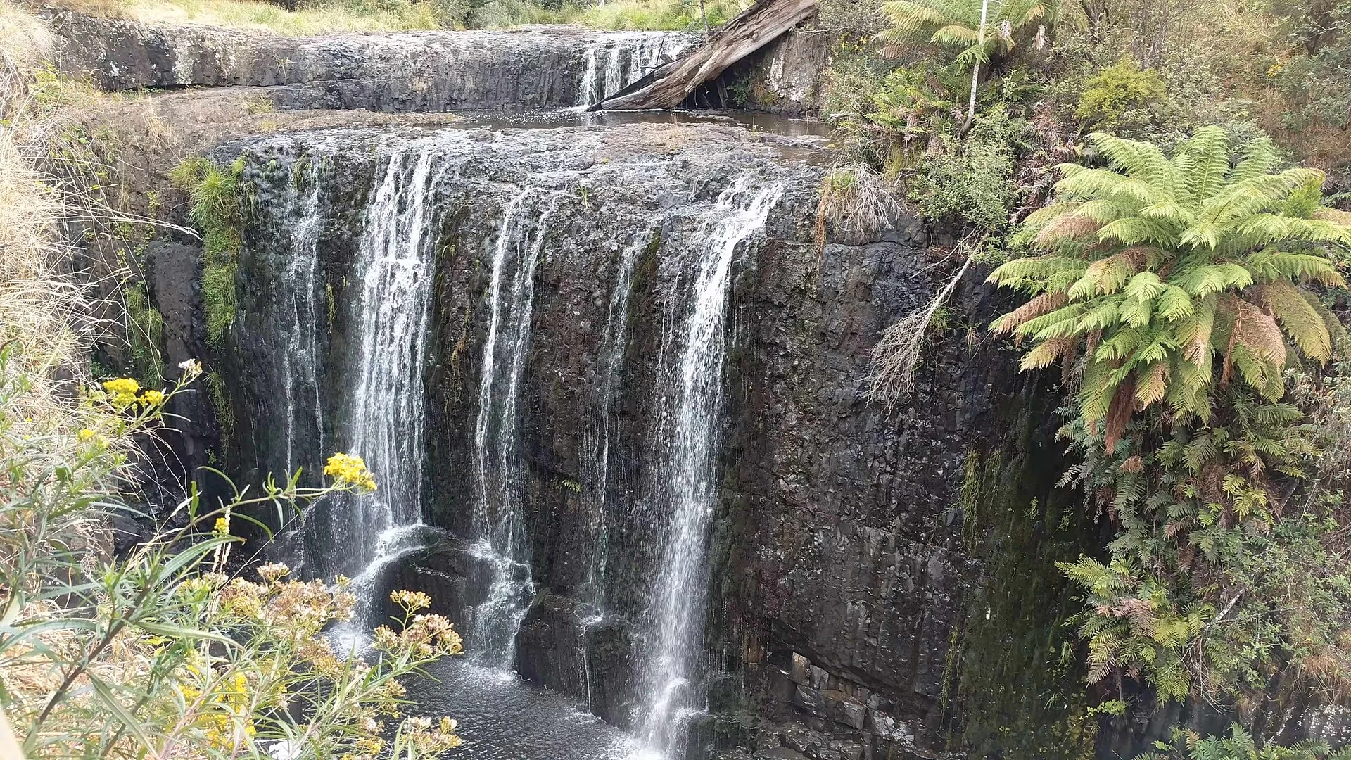 Die Guide Falls über ihre Basaltstufe bei Burnie