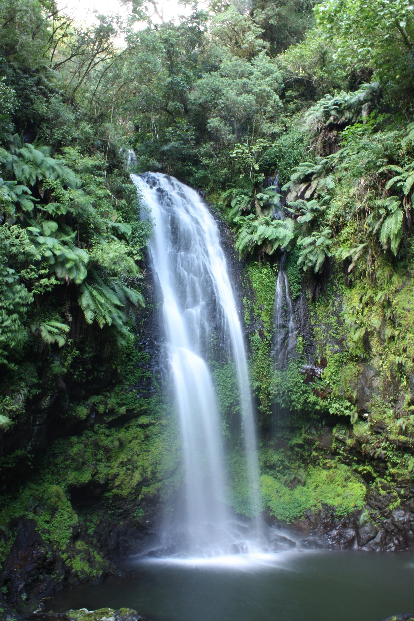 Ein Wasserfall im Regenwald der Montagne d’Ambre