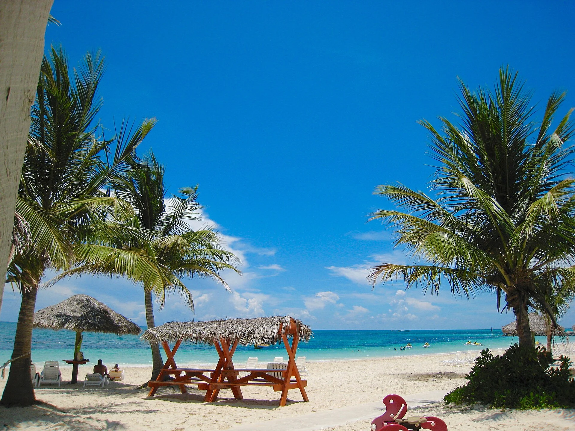 Palmen und Sonnenschirme am Taino Beach auf Grand Bahama